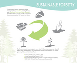 sustainable-forestry-thumb
