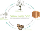 green-house-gases-thumb